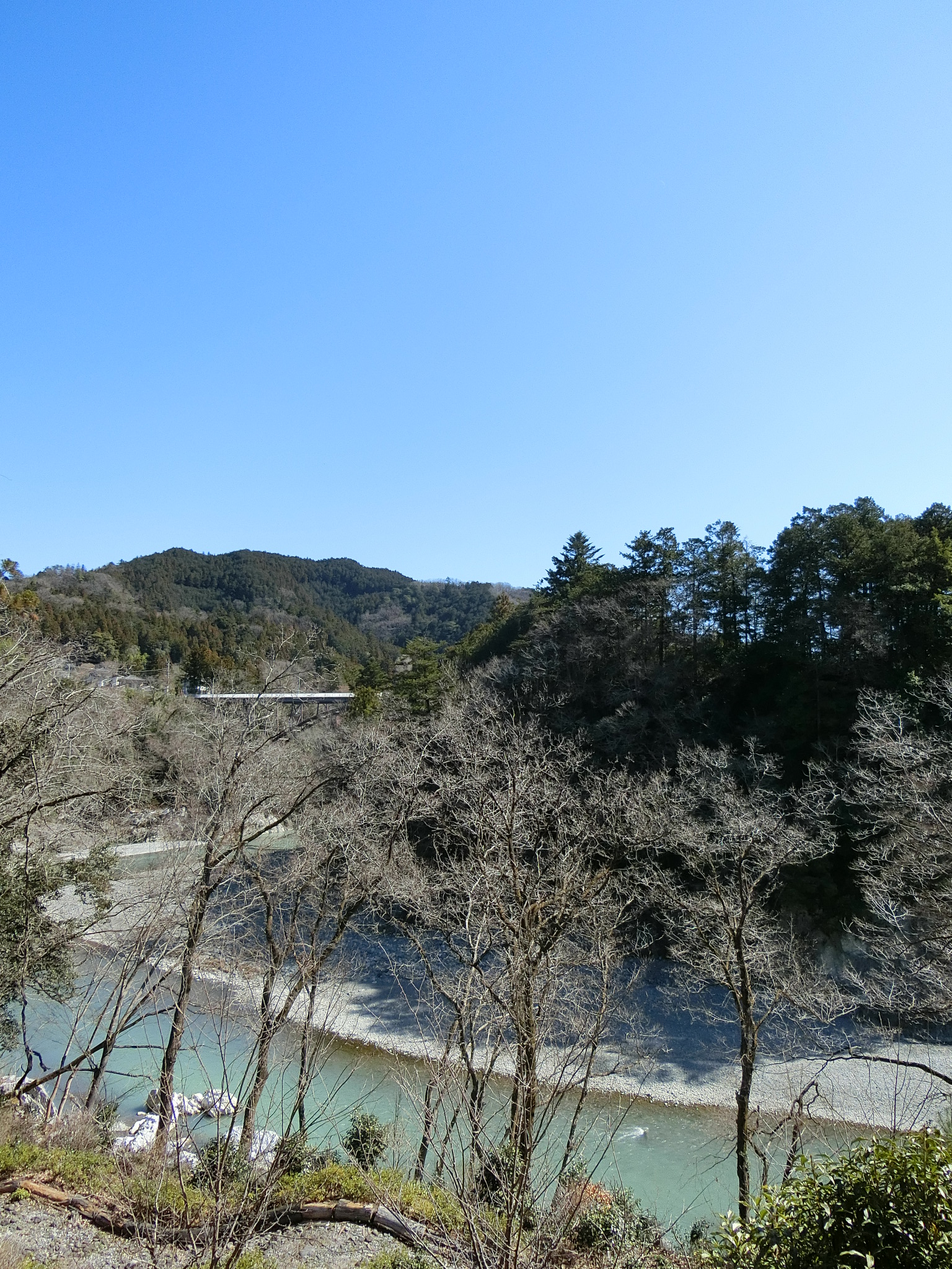 客室からの景色